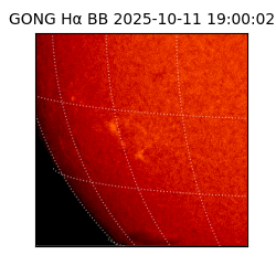 gong - 2025-10-11T19:00:02