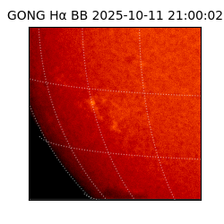 gong - 2025-10-11T21:00:02