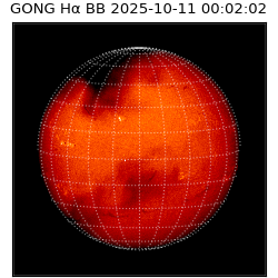 gong - 2025-10-11T00:02:02