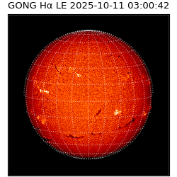 gong - 2025-10-11T03:00:42