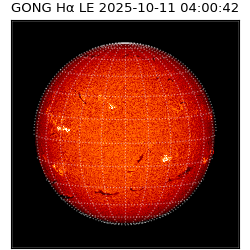 gong - 2025-10-11T04:00:42