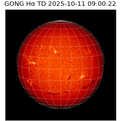 gong - 2025-10-11T09:00:22