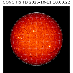gong - 2025-10-11T10:00:22
