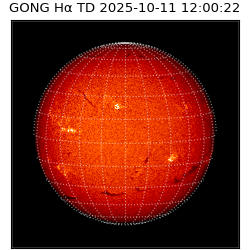 gong - 2025-10-11T12:00:22
