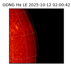 gong - 2025-10-12T02:00:42