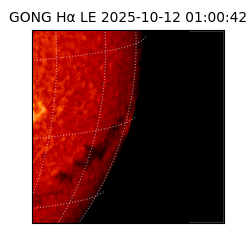gong - 2025-10-12T01:00:42