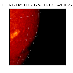 gong - 2025-10-12T14:00:22
