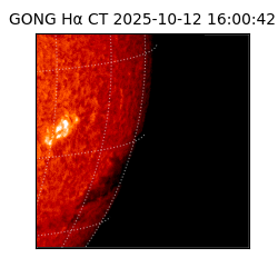 gong - 2025-10-12T16:00:42
