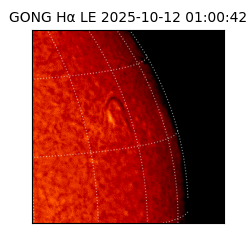 gong - 2025-10-12T01:00:42