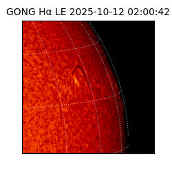 gong - 2025-10-12T02:00:42
