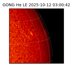 gong - 2025-10-12T03:00:42