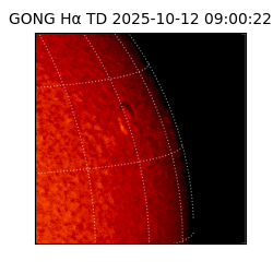 gong - 2025-10-12T09:00:22