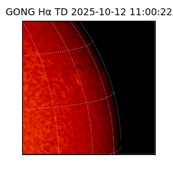gong - 2025-10-12T11:00:22