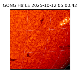 gong - 2025-10-12T05:00:42