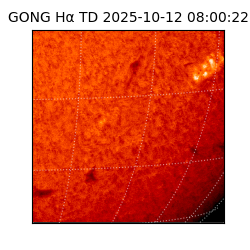 gong - 2025-10-12T08:00:22