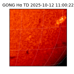 gong - 2025-10-12T11:00:22