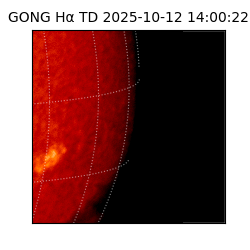 gong - 2025-10-12T14:00:22