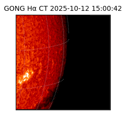 gong - 2025-10-12T15:00:42