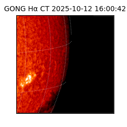 gong - 2025-10-12T16:00:42