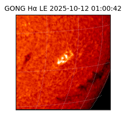 gong - 2025-10-12T01:00:42