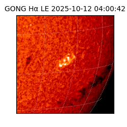 gong - 2025-10-12T04:00:42
