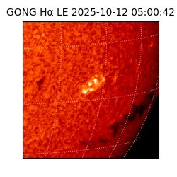gong - 2025-10-12T05:00:42