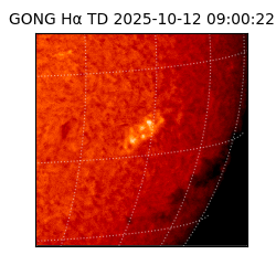 gong - 2025-10-12T09:00:22