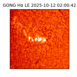 gong - 2025-10-12T02:00:42
