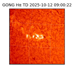 gong - 2025-10-12T09:00:22