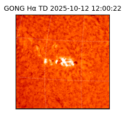 gong - 2025-10-12T12:00:22
