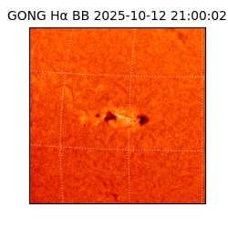 gong - 2025-10-12T21:00:02