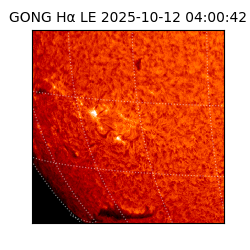 gong - 2025-10-12T04:00:42
