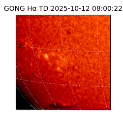 gong - 2025-10-12T08:00:22