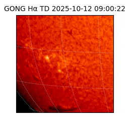 gong - 2025-10-12T09:00:22