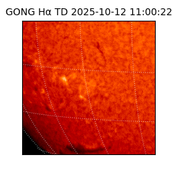 gong - 2025-10-12T11:00:22