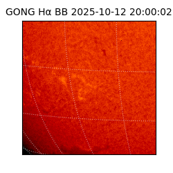 gong - 2025-10-12T20:00:02