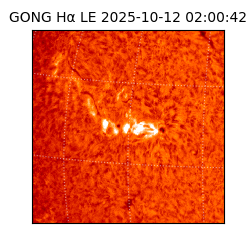 gong - 2025-10-12T02:00:42