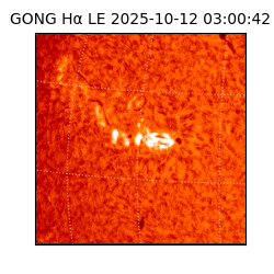 gong - 2025-10-12T03:00:42