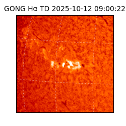 gong - 2025-10-12T09:00:22