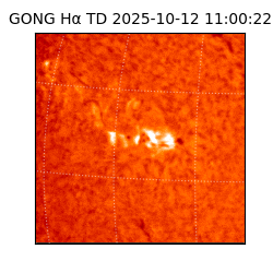 gong - 2025-10-12T11:00:22