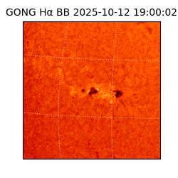 gong - 2025-10-12T19:00:02