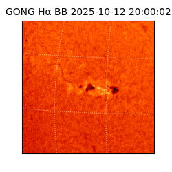gong - 2025-10-12T20:00:02