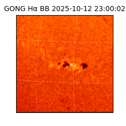 gong - 2025-10-12T23:00:02