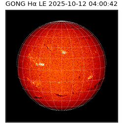 gong - 2025-10-12T04:00:42