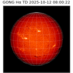 gong - 2025-10-12T08:00:22