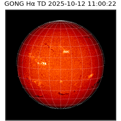 gong - 2025-10-12T11:00:22