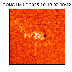 gong - 2025-10-13T02:00:42