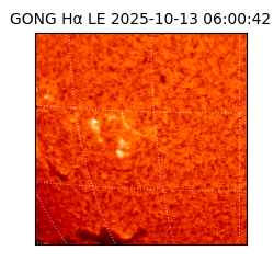gong - 2025-10-13T06:00:42