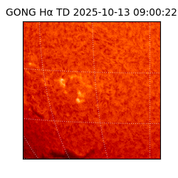 gong - 2025-10-13T09:00:22