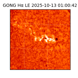 gong - 2025-10-13T01:00:42